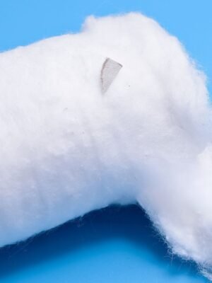 Absorbant Cotton Wool